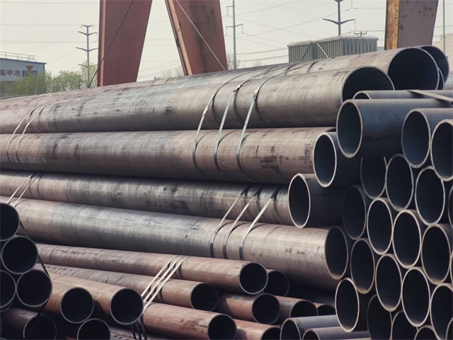 1768362873197309.jpg